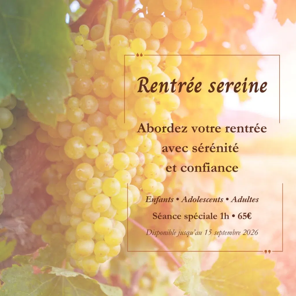 Image-rentree-sereine Visuel de raisin pour illustrer l'offre commerciale pour une rentrée sereine